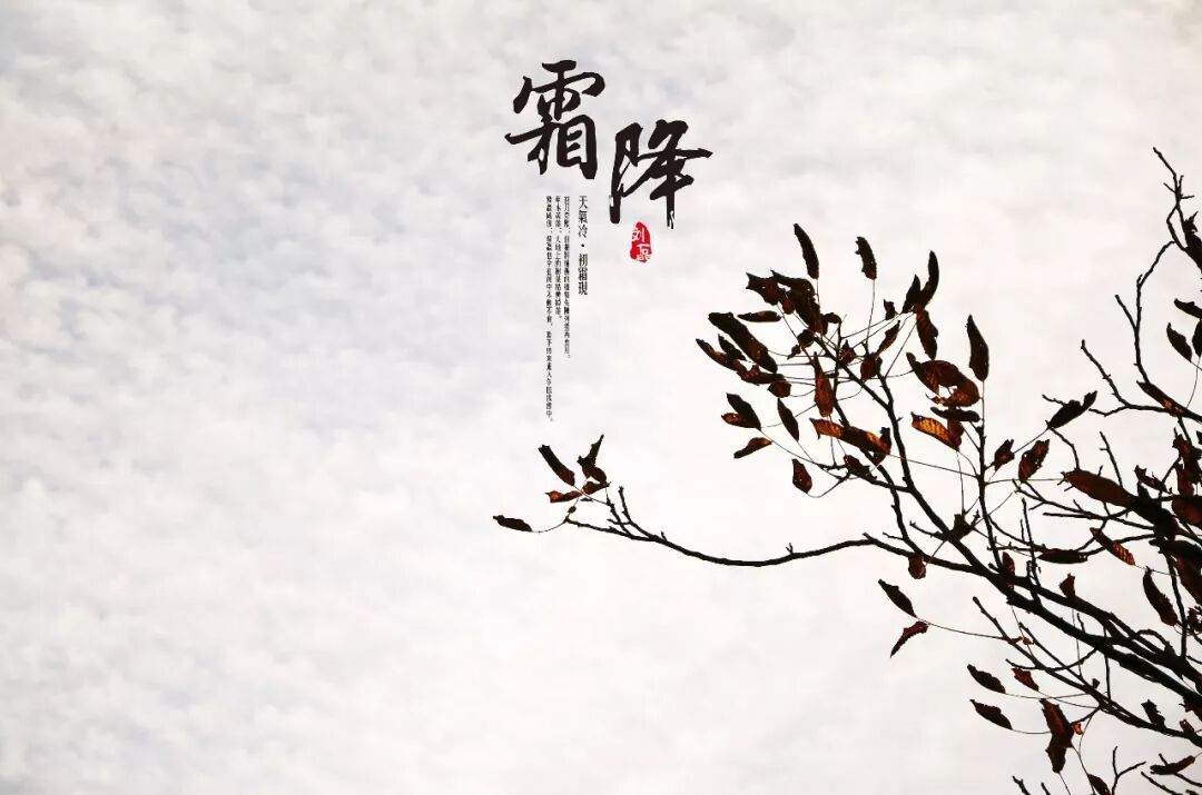 【明日霜降】霜降有三防，产后妈妈坐月子要特别注意啦！