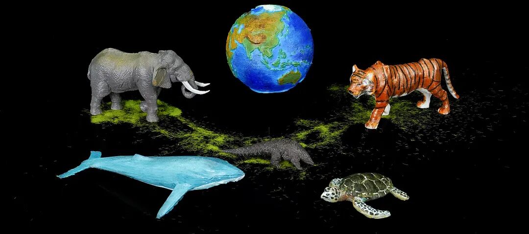 情怀限定 | 这大概是99%的人的童年回忆杀！的图17