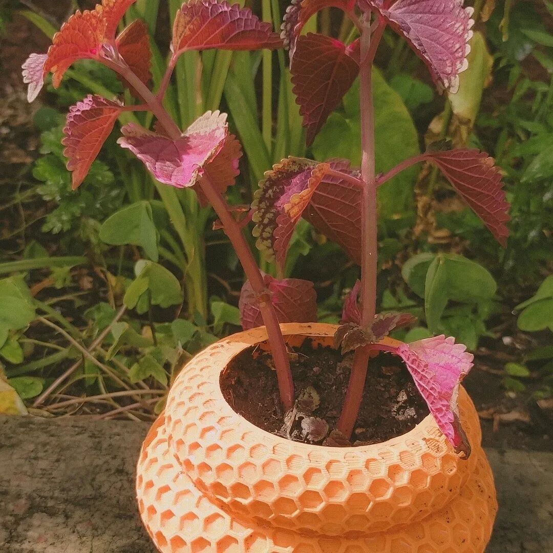 秘密花园养成系列！看海外用户3D打印超治愈模型的图25