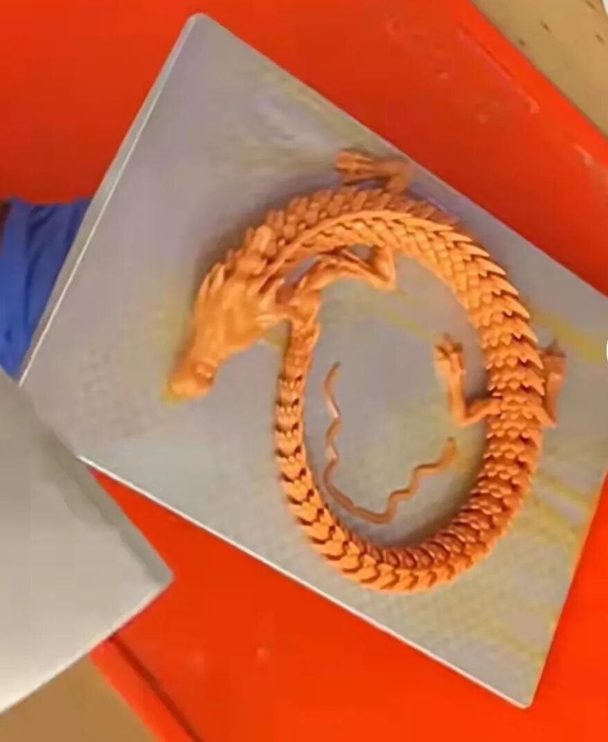 二月二龙抬头：技术宅们的纳福新活动——打龙身！的图10