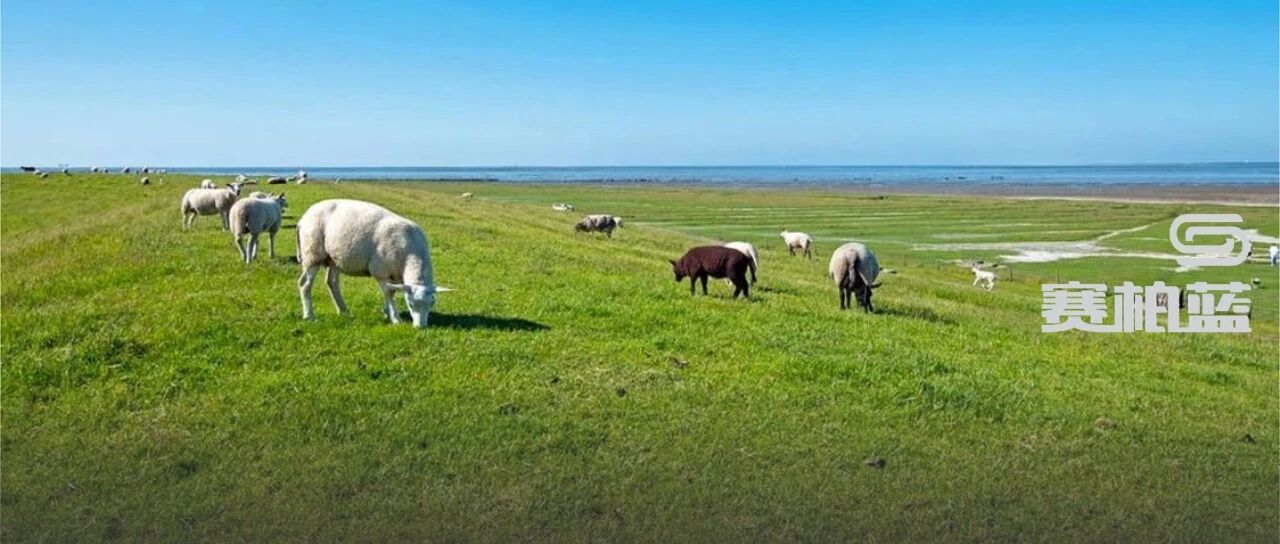 2023-04-03药事资讯