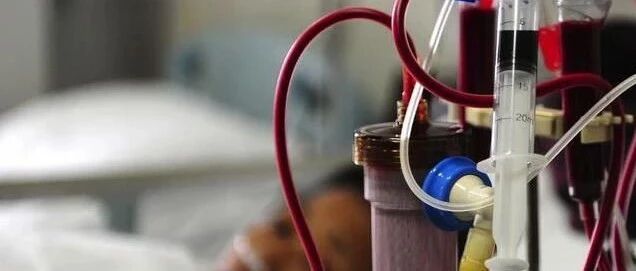 吃了一盘家常菜 ，女子三天不排尿，还患上尿毒症！医生提醒：很多人都爱吃