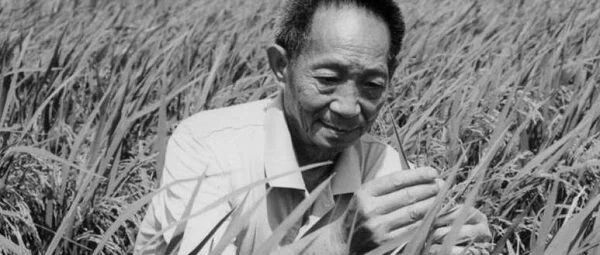 袁隆平院士从跌倒到去世仅2个多月！为什么它是老年人的"头号杀手"？