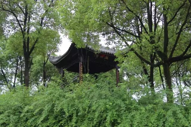 蘭溪市第一中學(xué)貼吧_蘭溪一中91屆_蘭溪一中貼吧