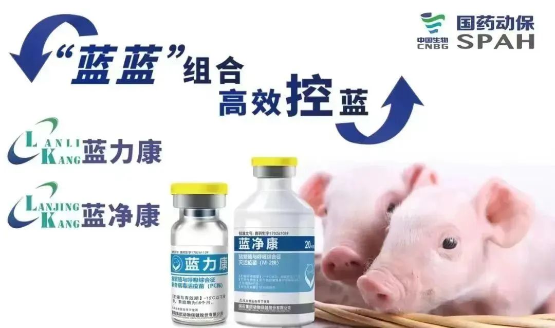 “国药动保”推荐阅读【生产管理】生猪无抗养殖的技术探讨