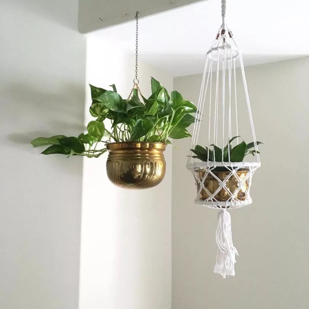 巧用植物 輕鬆打造夏日清涼風 慢時光 微文庫