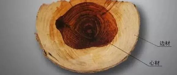 木材的基本知识，快收藏起来 ，非常有用！