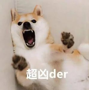 这是我见过把“狗仗人势”诠释的最淋漓尽致的狗子.......哈哈哈哈!-微信头条网 这是我见过把“狗仗人势”诠释的最淋漓尽致的狗子.......哈哈哈哈!