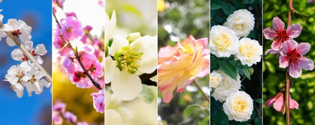 拼图_美图设计室 (6).jpg