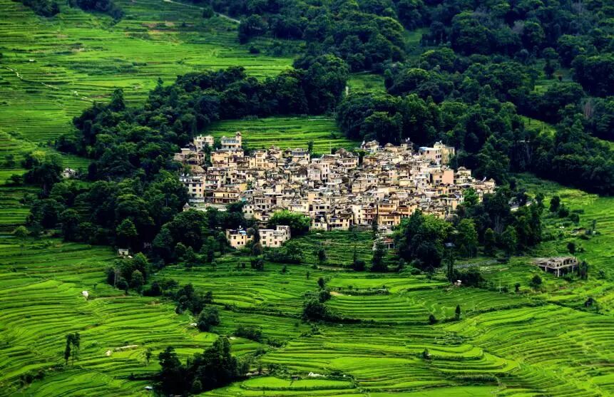 红河州:亮出"高颜值"生态环境 绘就高质量发展动人画卷_泸西县融媒体