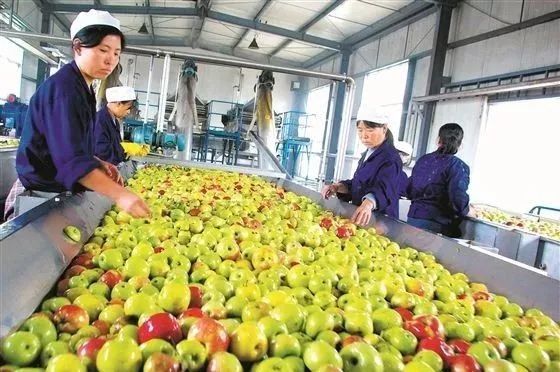 澳洲柑橘、泰国榴莲、智利樱桃……进口水果持续增长，国内水果该如何应对？