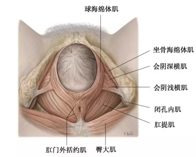 会阴阴道裂伤如何处理 企业官网