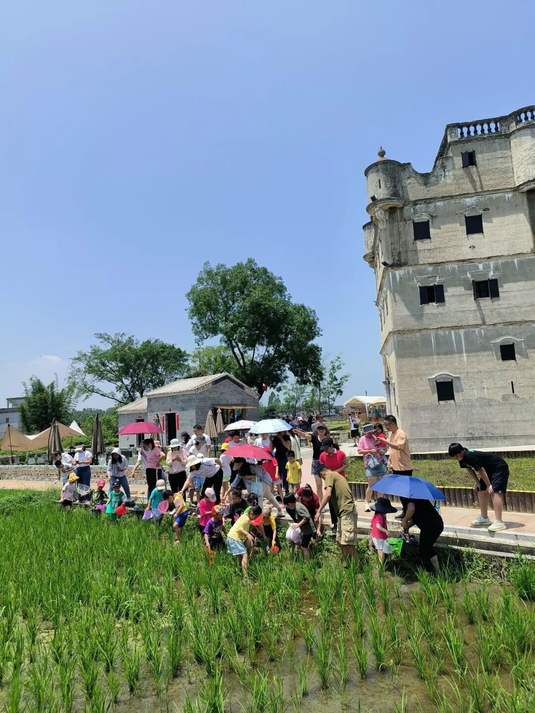 体验春耕文化的游客。