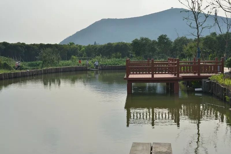 江阴这个新晋“省级美丽乡村” 真的非常美丽