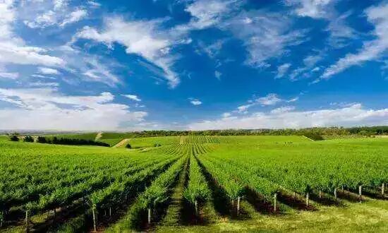 江阴3家农民合作社入围国家级榜单