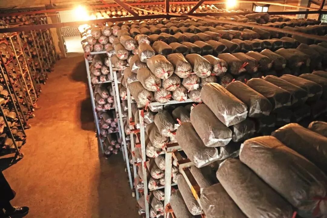 江阴3家农民合作社入围国家级榜单