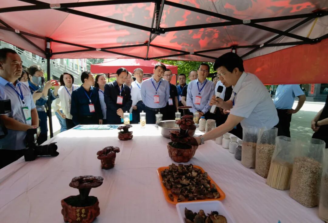 ԭƽƽ̾_ԭƽпЭ_ԭƽпƼ