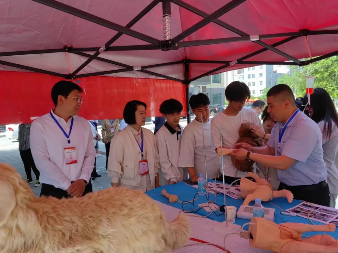 ԭƽпƼ_ԭƽƽ̾_ԭƽпЭ