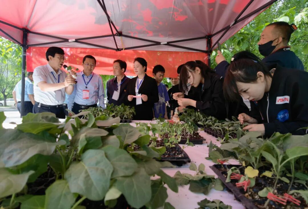 ԭƽпƼ_ԭƽпЭ_ԭƽƽ̾