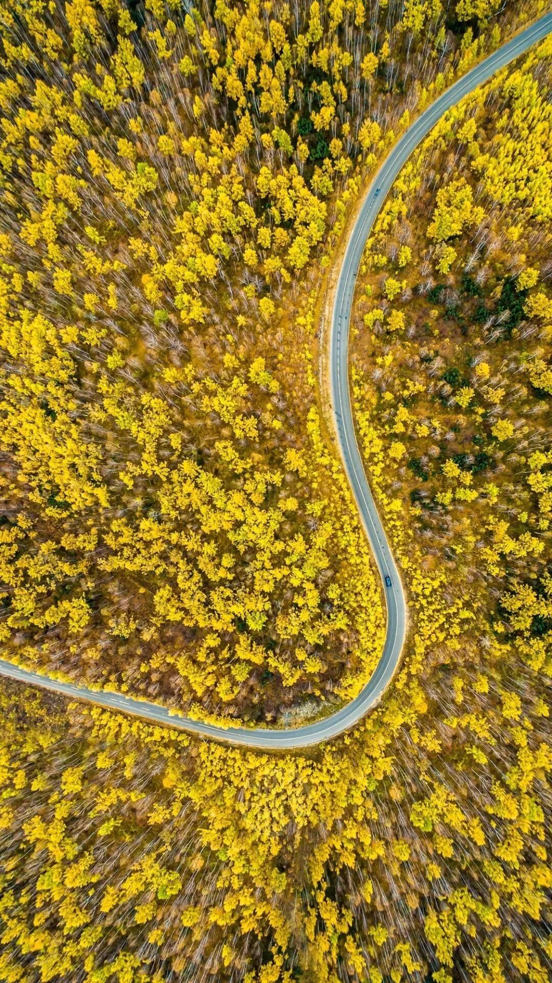 



此景只应天上有——骑行中俄边境黄金大道（漠海公路英雄招募开启）
