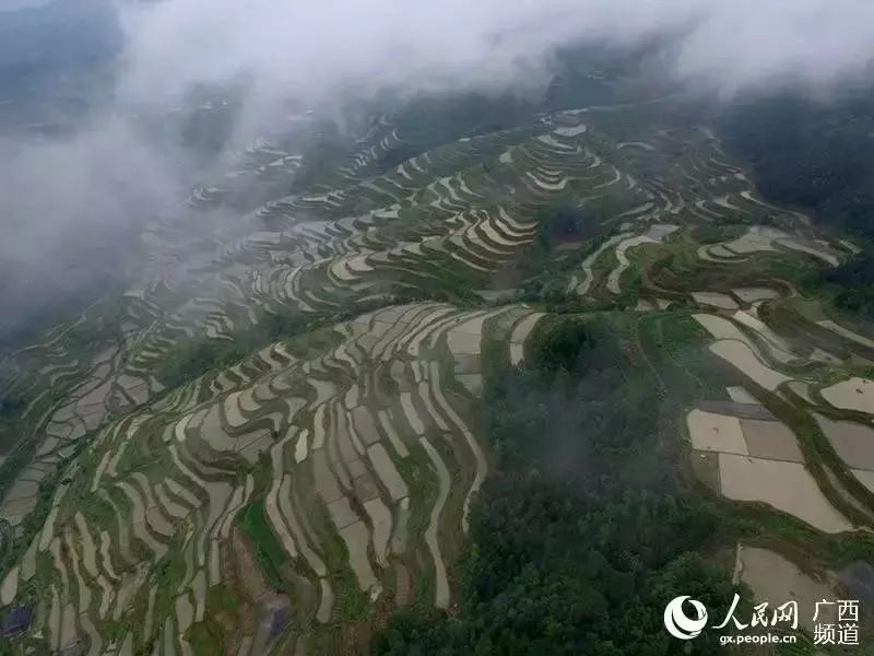 航拍三江侗族自治县同乐乡地保村梯田