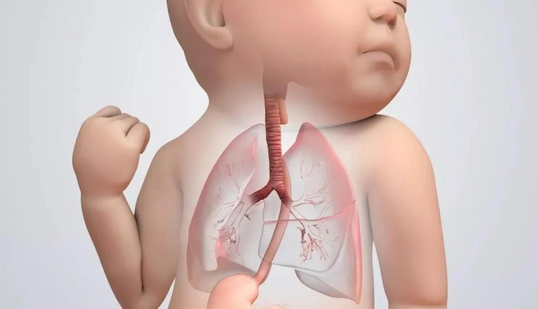 呼吸回路管怎么使用李军教授：儿科麻醉气道管理技术分享_https://www.jmylbn.com_新闻资讯_第1张