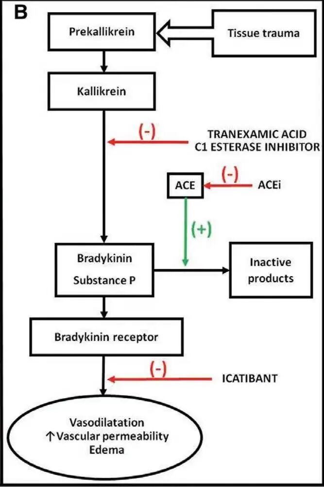 为什么要用喉罩围术用药丨喉罩置入后诱发血管性水肿，竟然是ACEI惹的祸！_https://www.jmylbn.com_新闻资讯_第4张