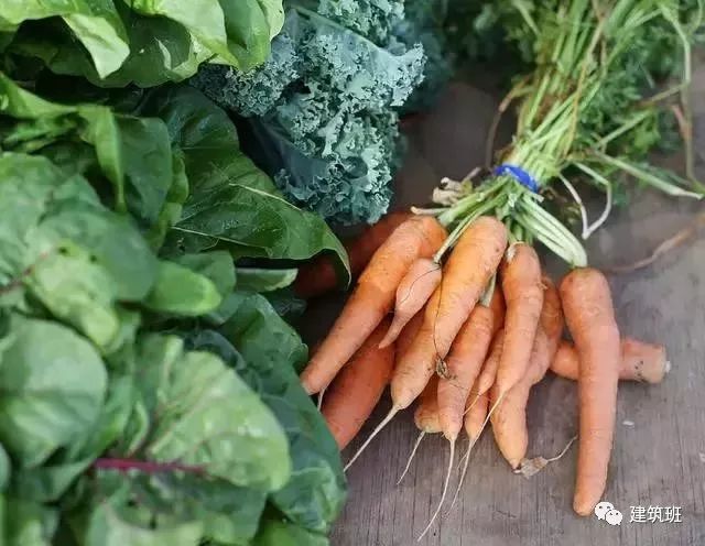美国农民赚钱经验分享 Farmers’ Market 实拍 美国农民赚钱经验分享 Farmers’ Market 实拍