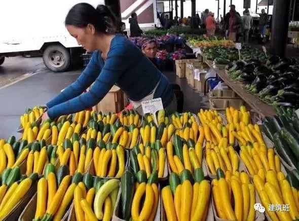 美国农民赚钱经验分享 Farmers’ Market 实拍 美国农民赚钱经验分享 Farmers’ Market 实拍