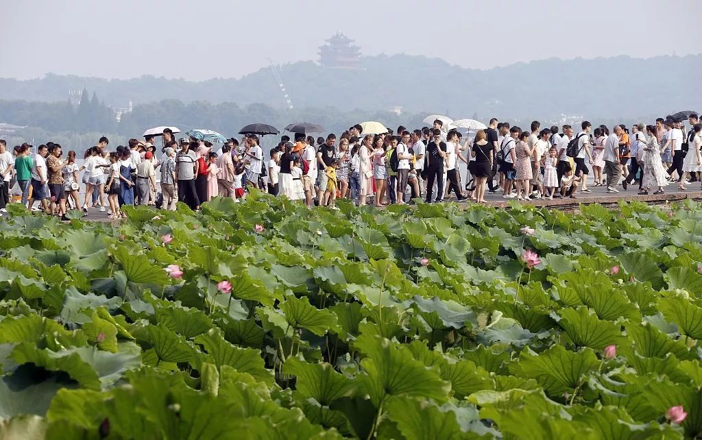 麗江古城、杭州西湖、福建土樓…你真的懂這些年世界遺產麼？ 旅遊 第8張