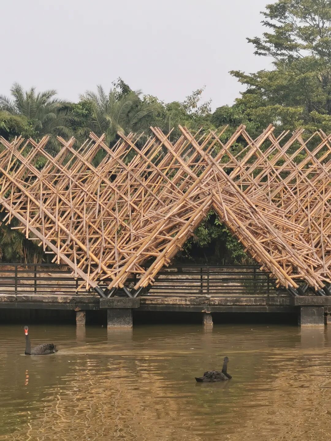 �������½����صأ�������ô�棿