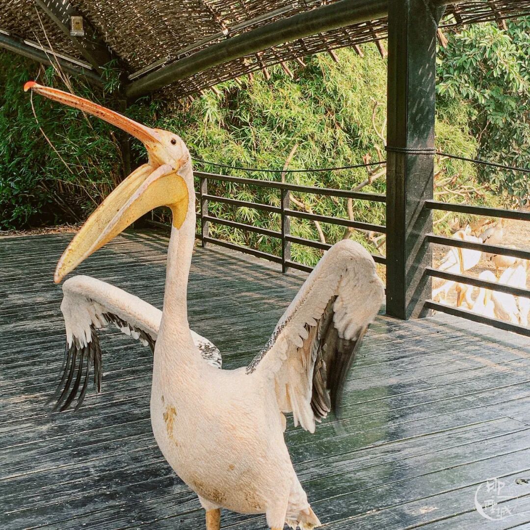 �������½����صأ�������ô�棿