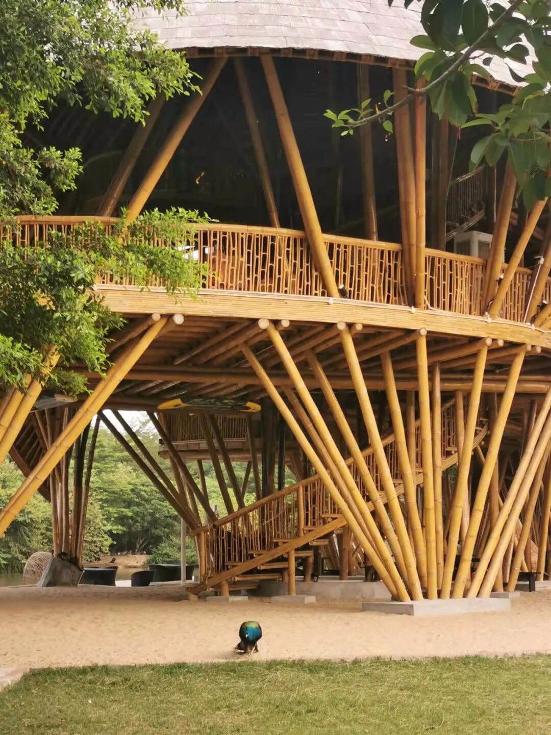 �������½����صأ�������ô�棿