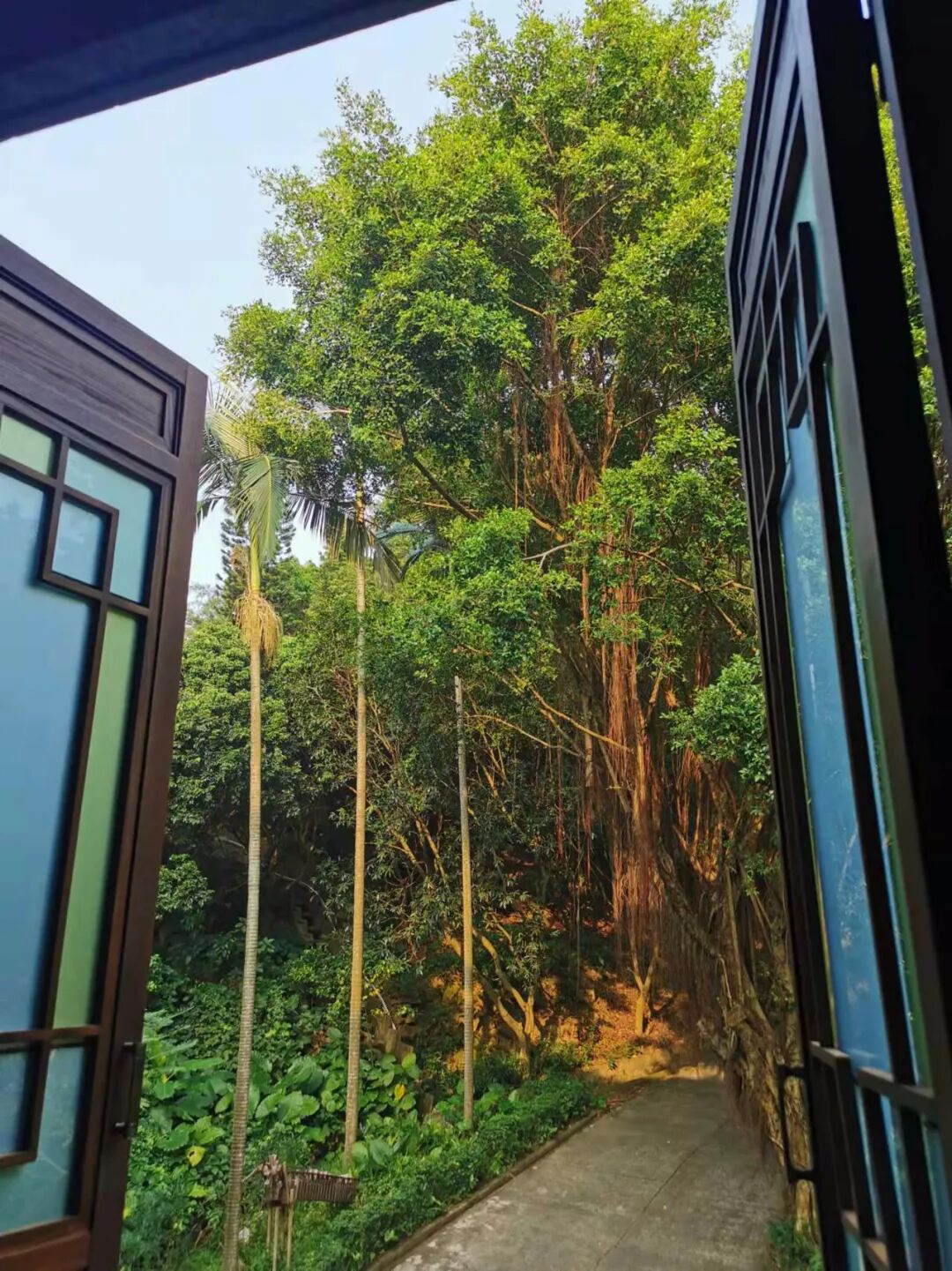 �������½����صأ�������ô�棿