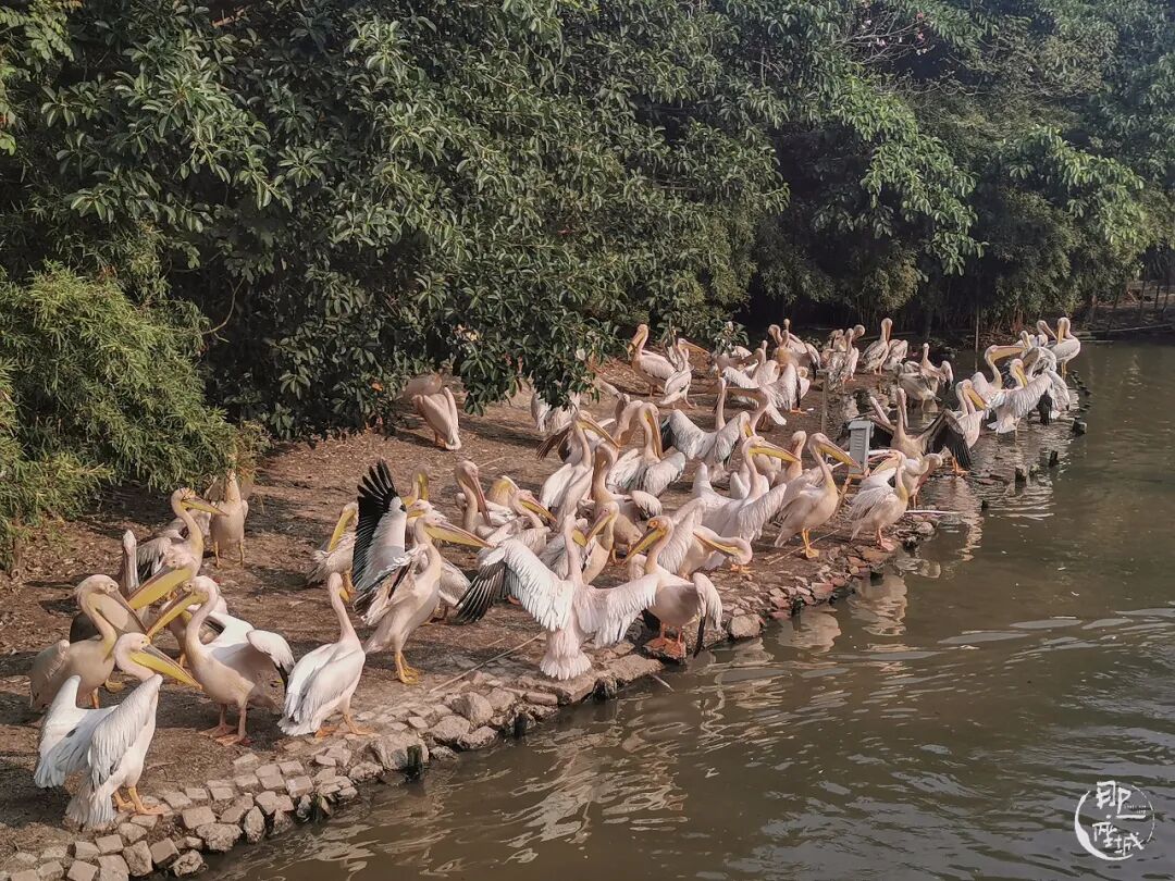 �������½����صأ�������ô�棿