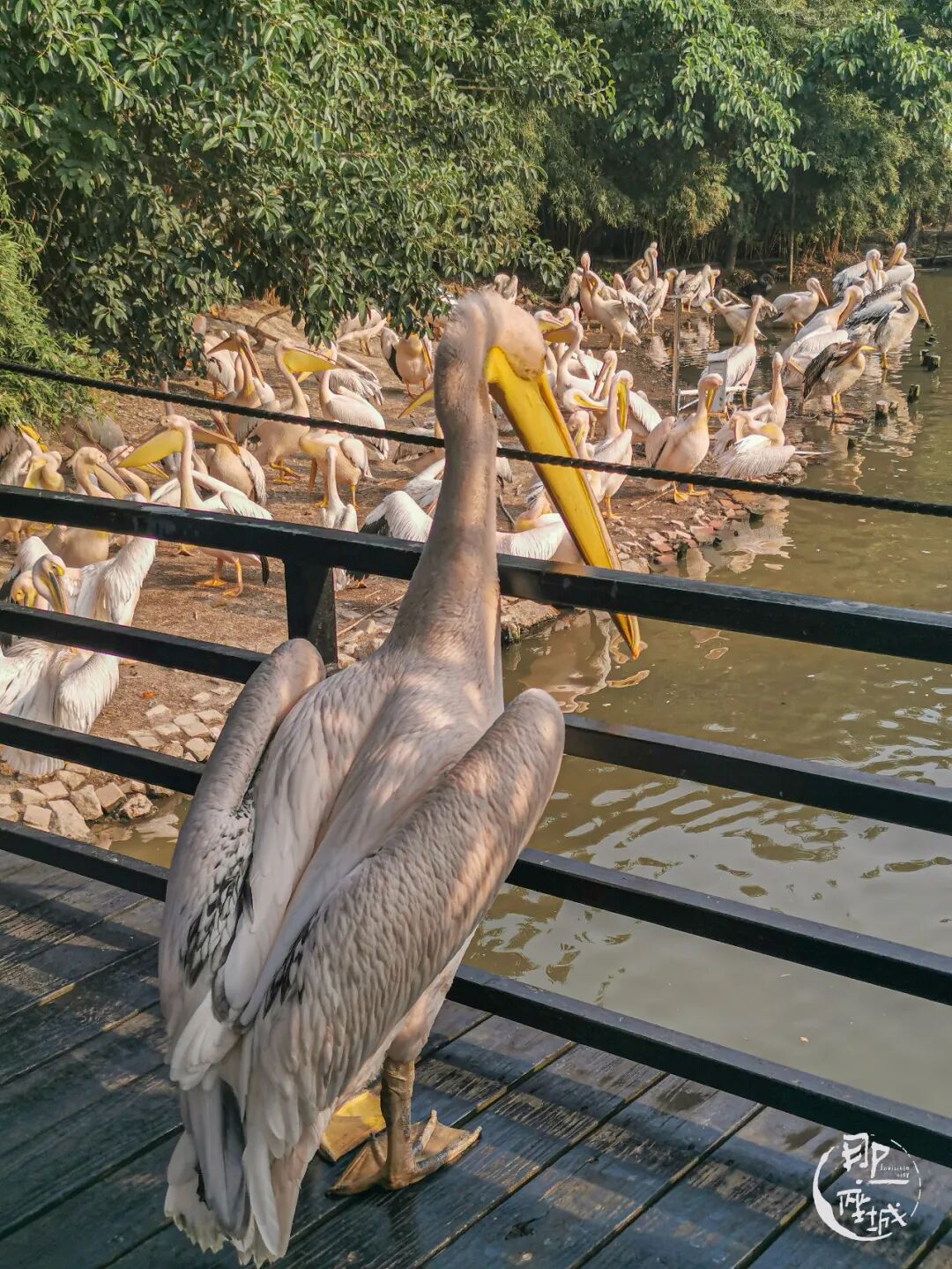 �������½����صأ�������ô�棿