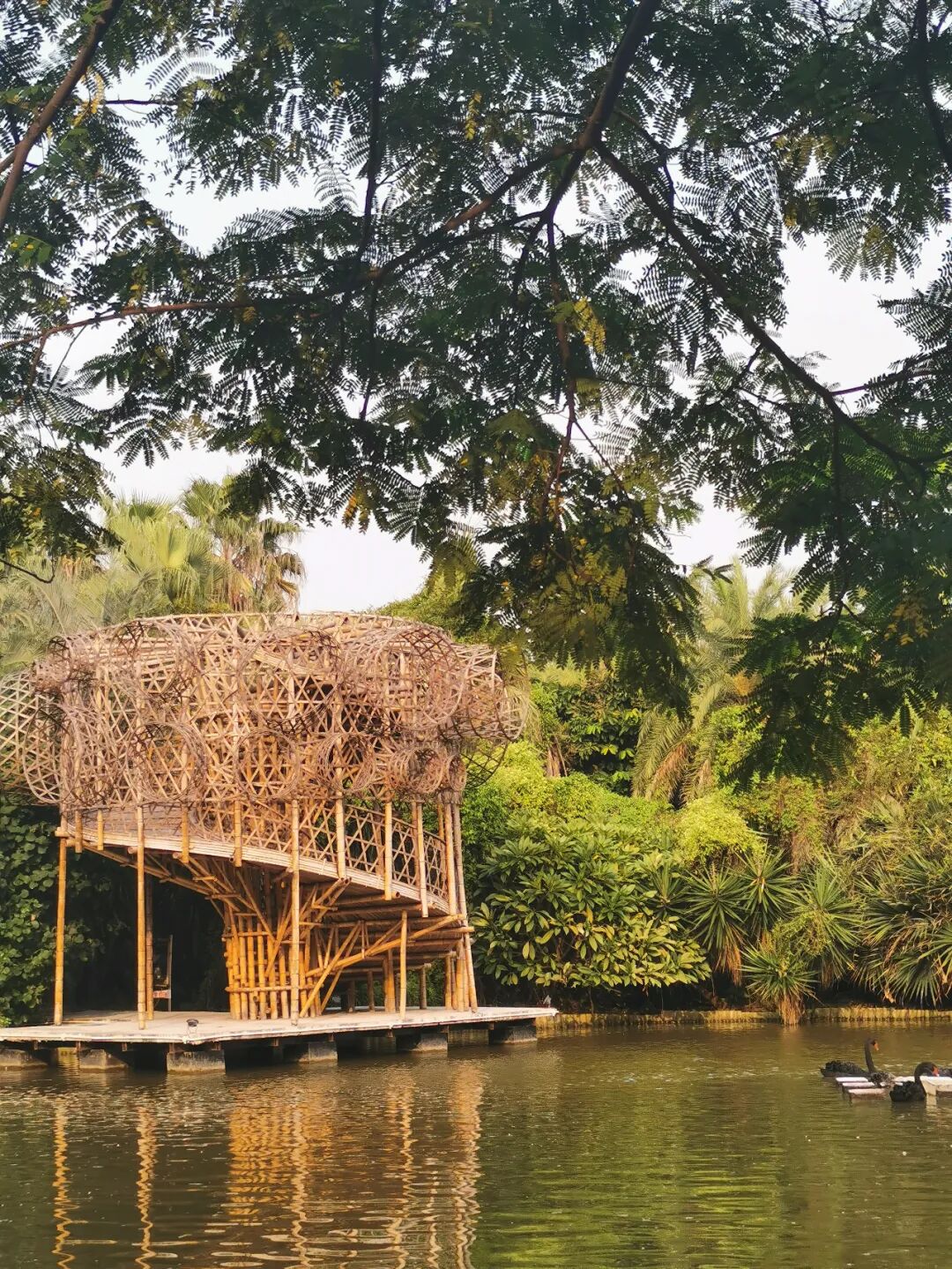 �������½����صأ�������ô�棿