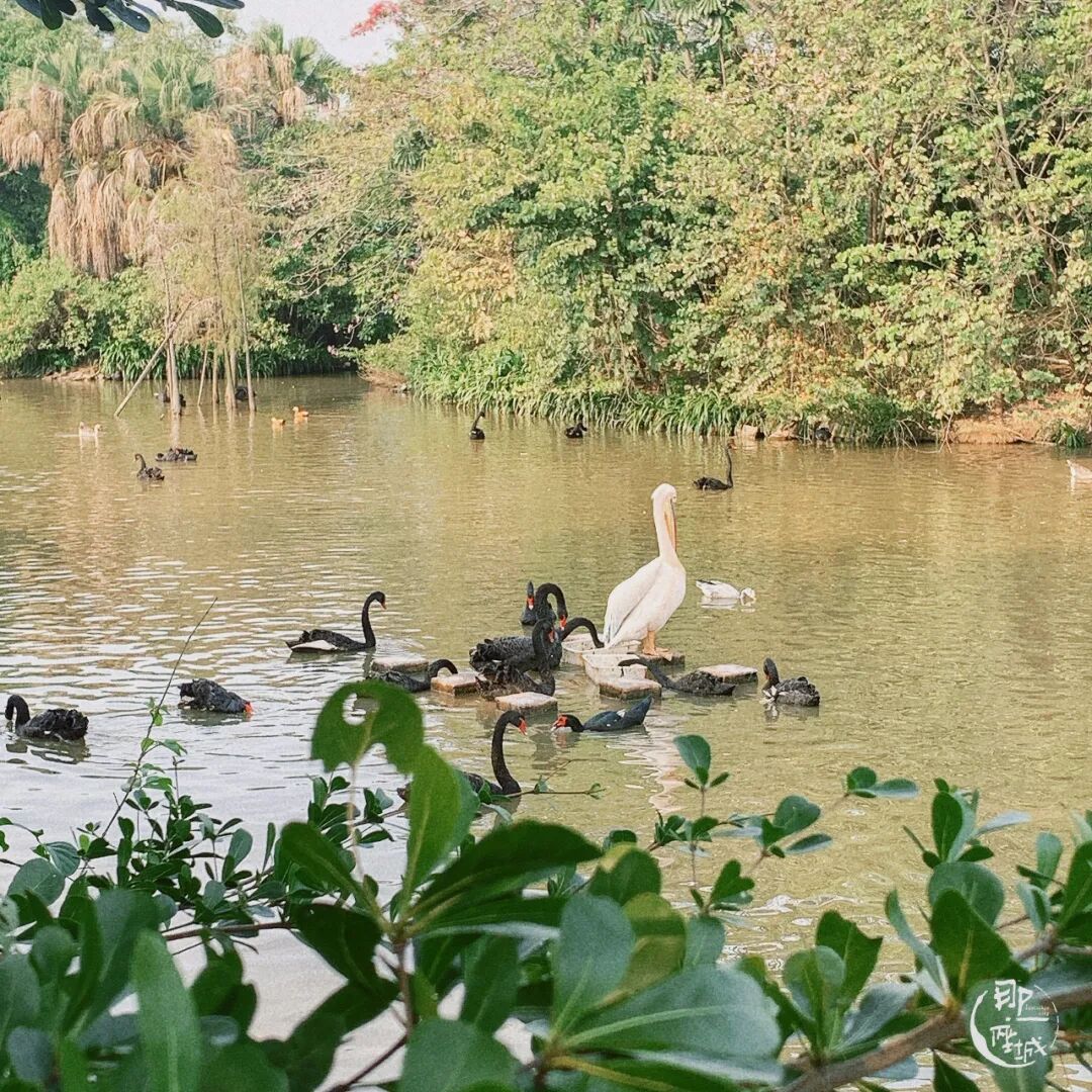 �������½����صأ�������ô�棿