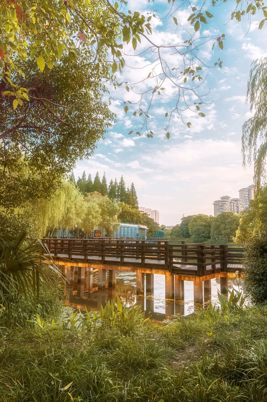 别去三亚挤了！清明拼假6天，我私藏的宝藏小城好吃到飞起，美到失语！