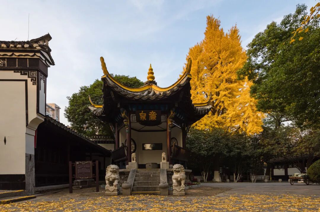 �����Ǹ��߸�˧���Լ�ȴ˵����������