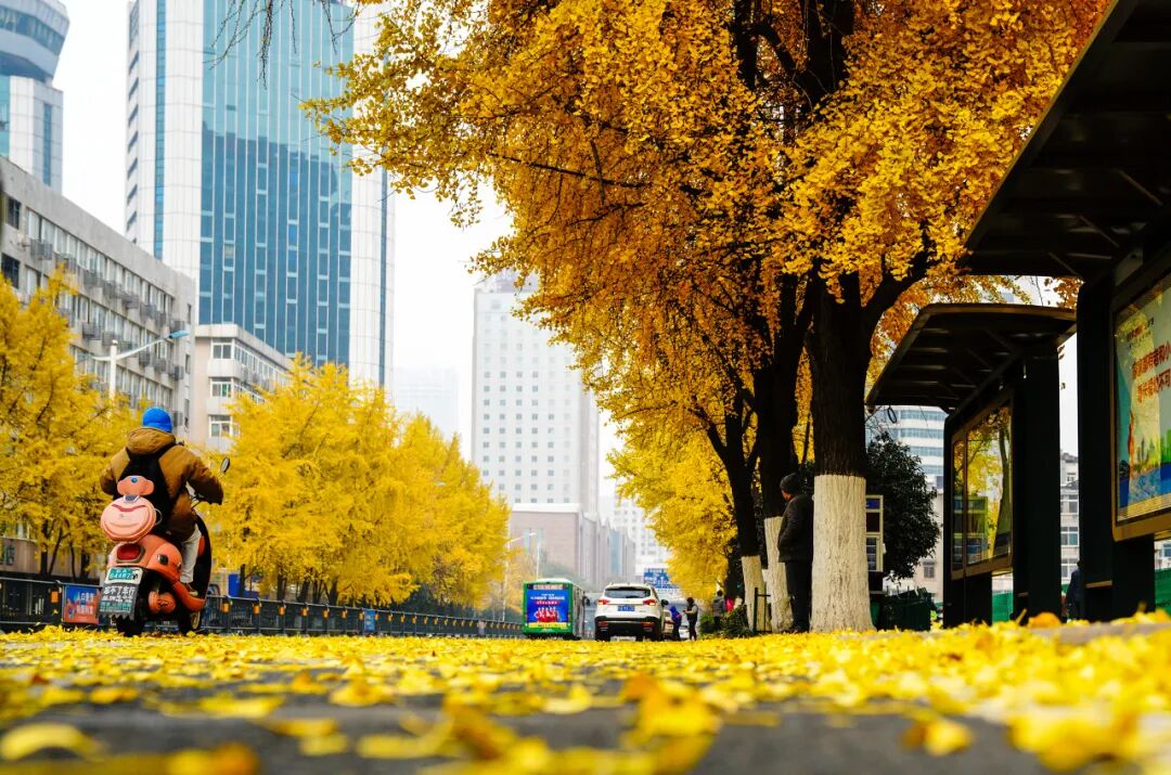 �����Ǹ��߸�˧���Լ�ȴ˵����������