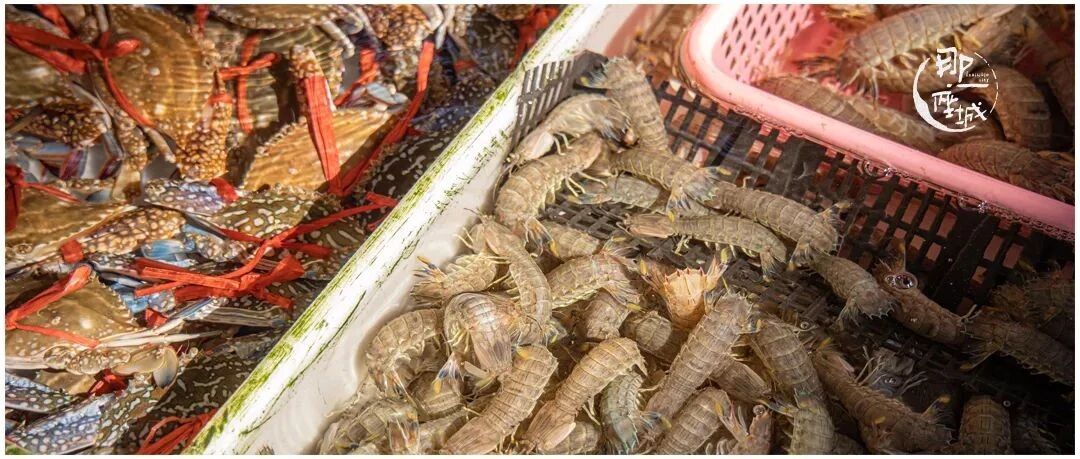 广州这里的海鲜，可否与潮汕一战？