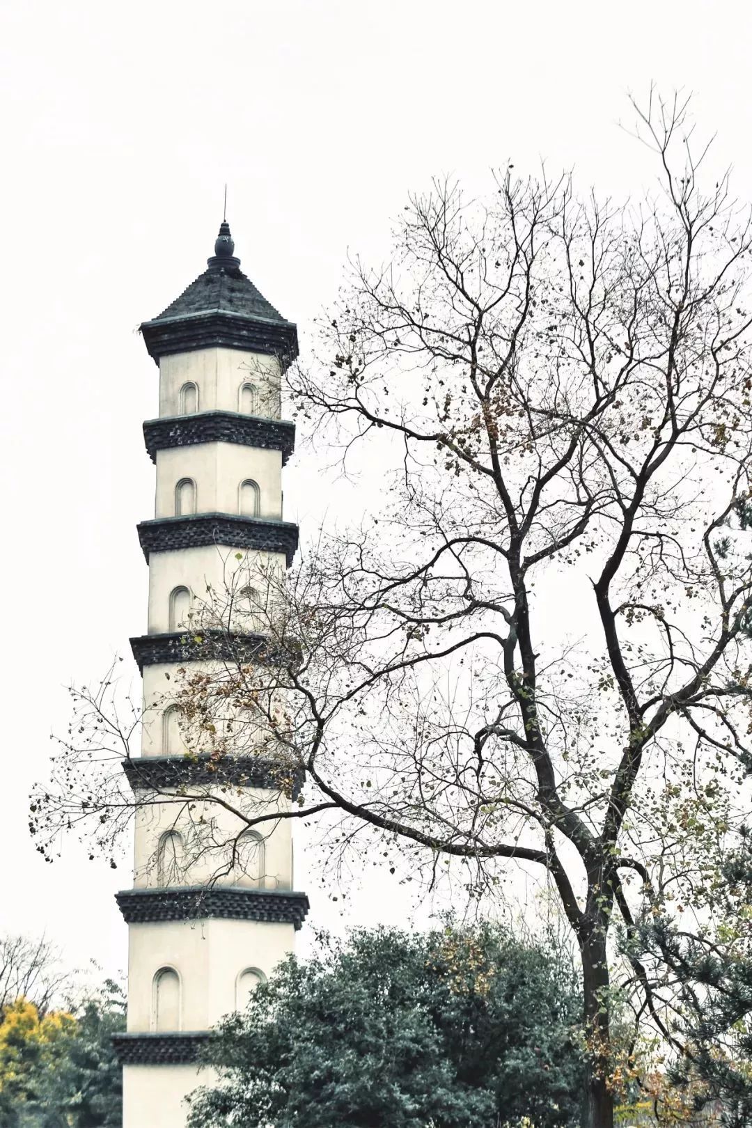 成都 | 宗教場所地圖：2019，像神仙一樣活著。 旅遊 第36張