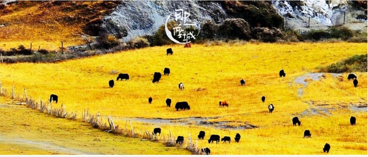 中国70%最美的秋天，在这片处女之境