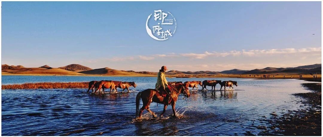 ​苏神说想去内蒙古看最美的秋天，网友：他用68小时就能跑到了……