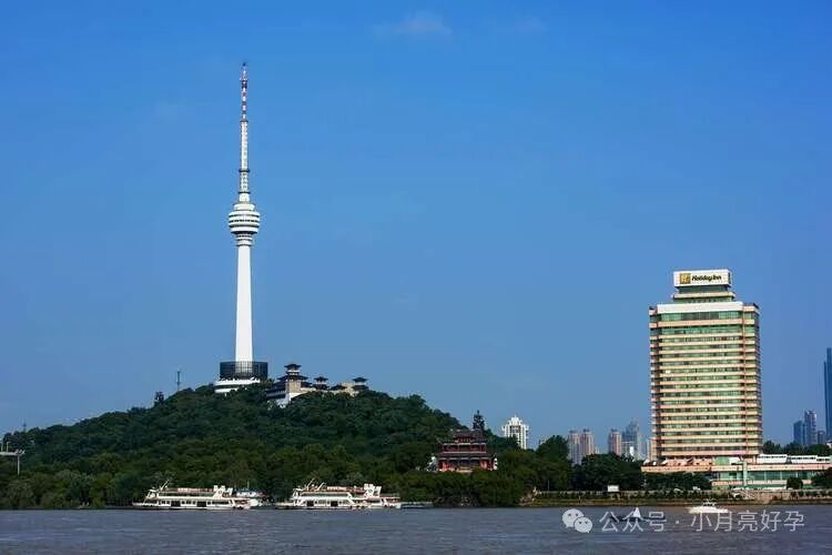 山大生殖试管费用_山大生殖试管婴儿_山大生殖三代试管大概多少钱