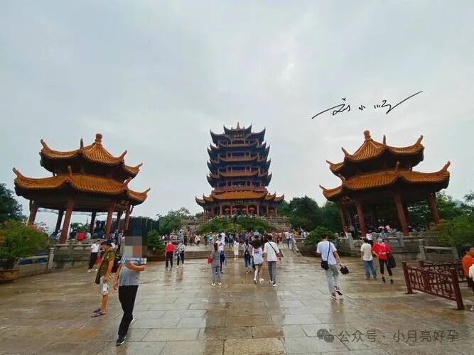 山大生殖三代试管大概多少钱-‌武汉妇幼试管婴儿费用深度解析：了解全面，规划合理