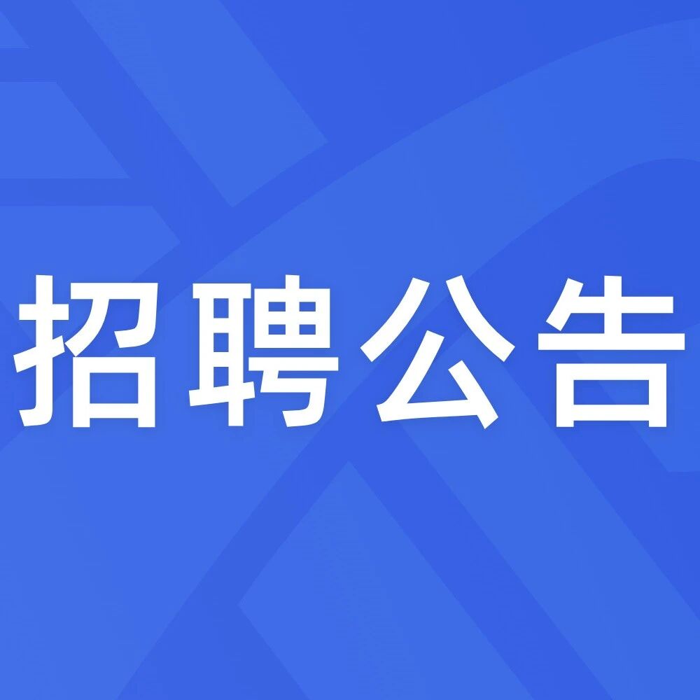 青岛新泊控股集团有限公司2026年度社会公开招聘简章