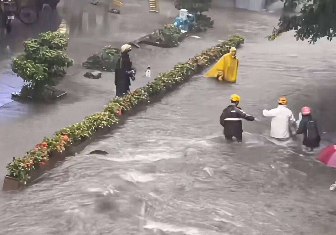 视频截图。