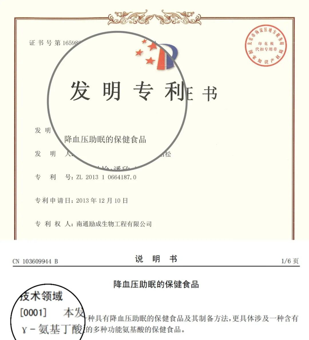 γ-氨基丁酸GABA专利
